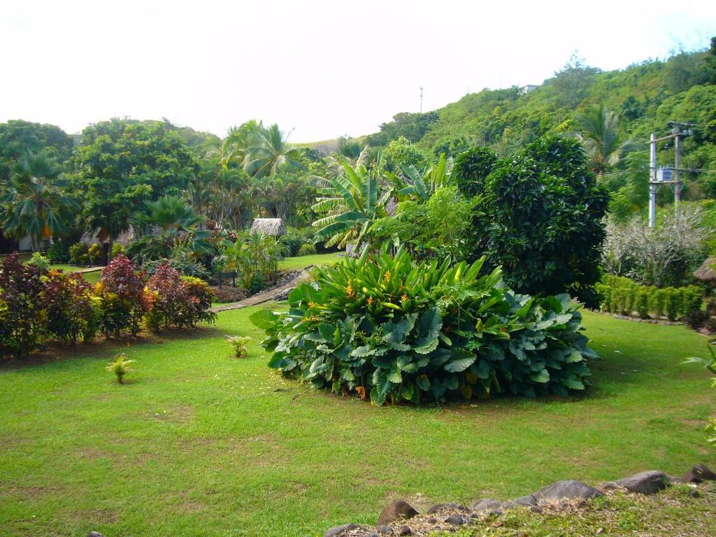 Gecko's Resort Sigatoka Exterior foto